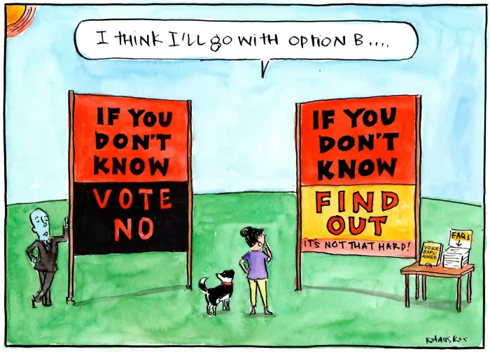 A comic of two signs. One reads "If you don't know Vote NO", and the other reads "If you don't know, Find OUT." A character in the comic says "I'll go with option B."